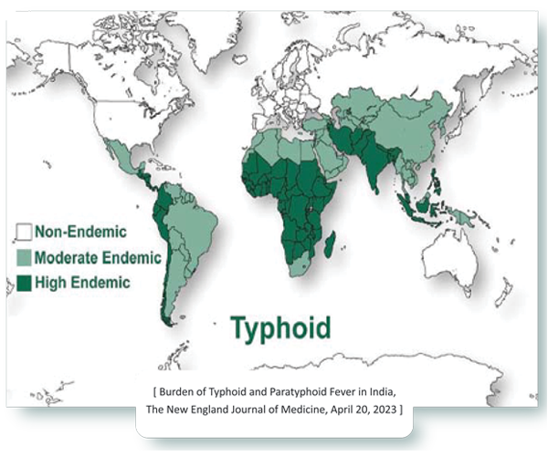 Endemic Map of Typhoid and Dengue